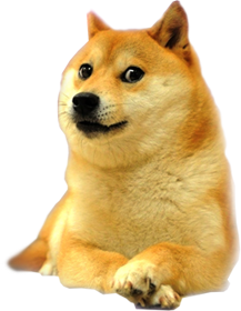 doge